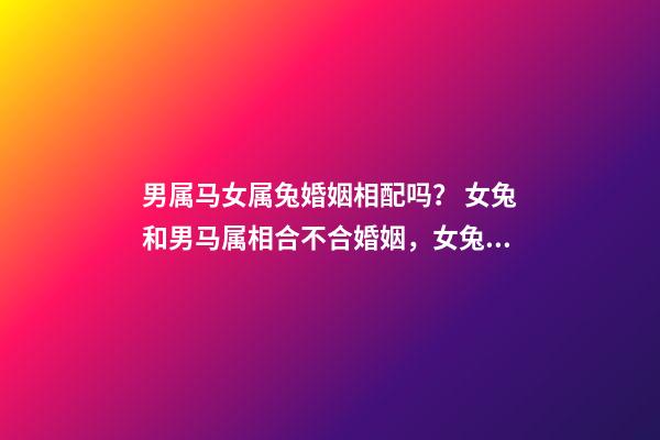 男属马女属兔婚姻相配吗？ 女兔和男马属相合不合婚姻，女兔 和 男马 合不合？